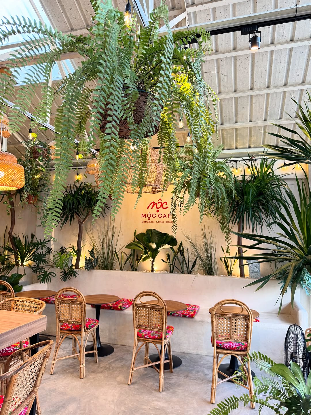 Fern hanging interior with MỘC Cafe logo wall