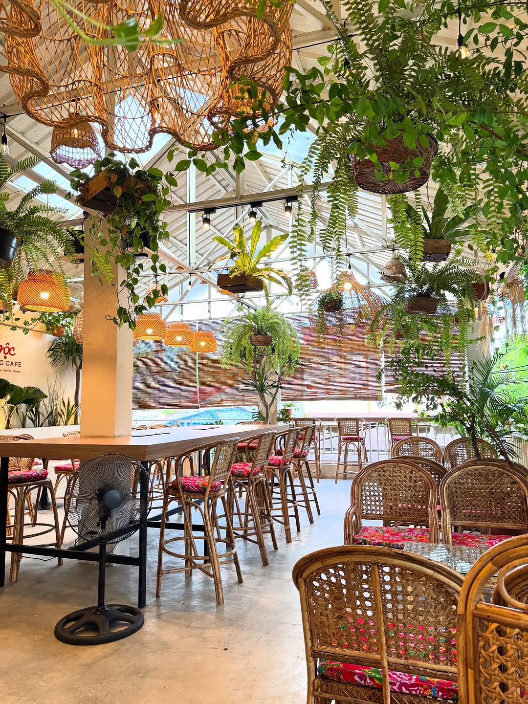 Narrow interior view of MỘC Cafe from high angle